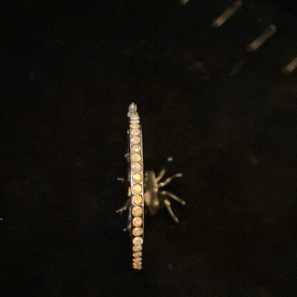 Spider Hoop Earrings with rhinestones - Picture 3 of 5